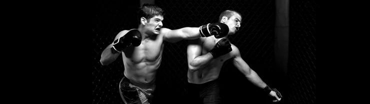 1d61e29a007b4458041c0efba107d439