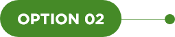 option 02