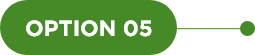 option 05