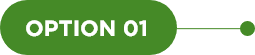 option 1