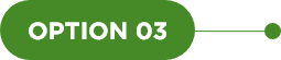 option 3