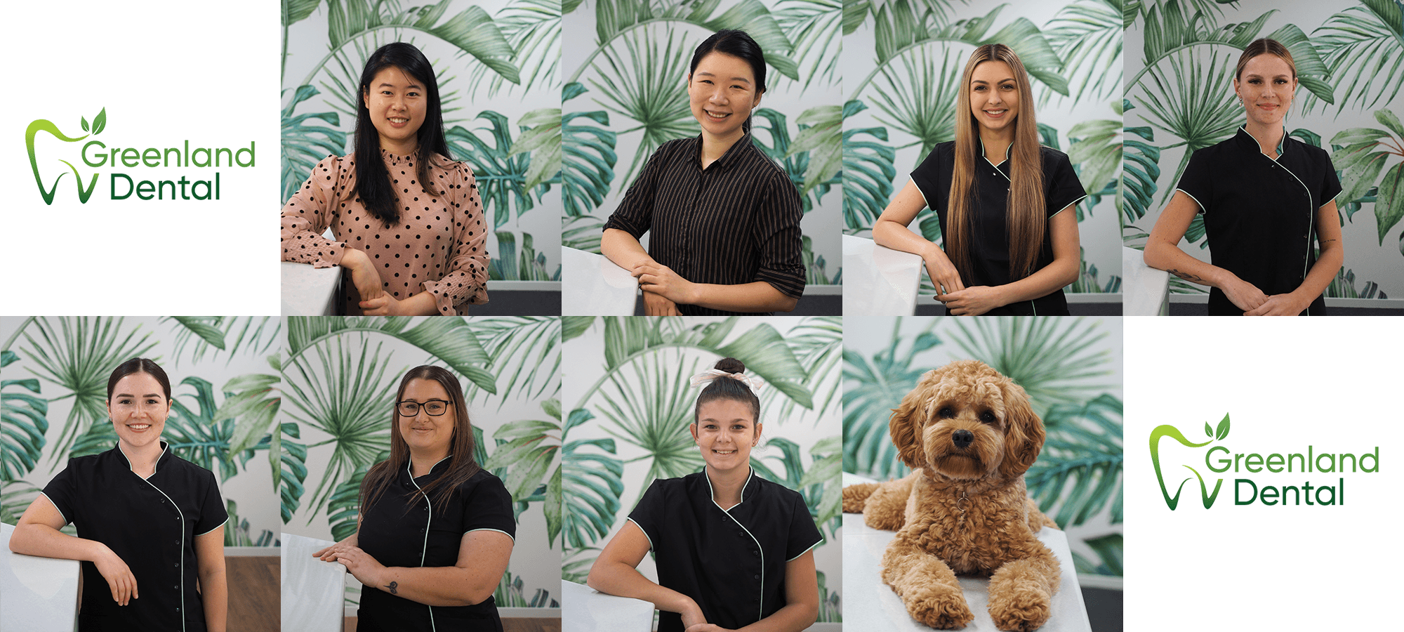 Greenland Dental Team photo